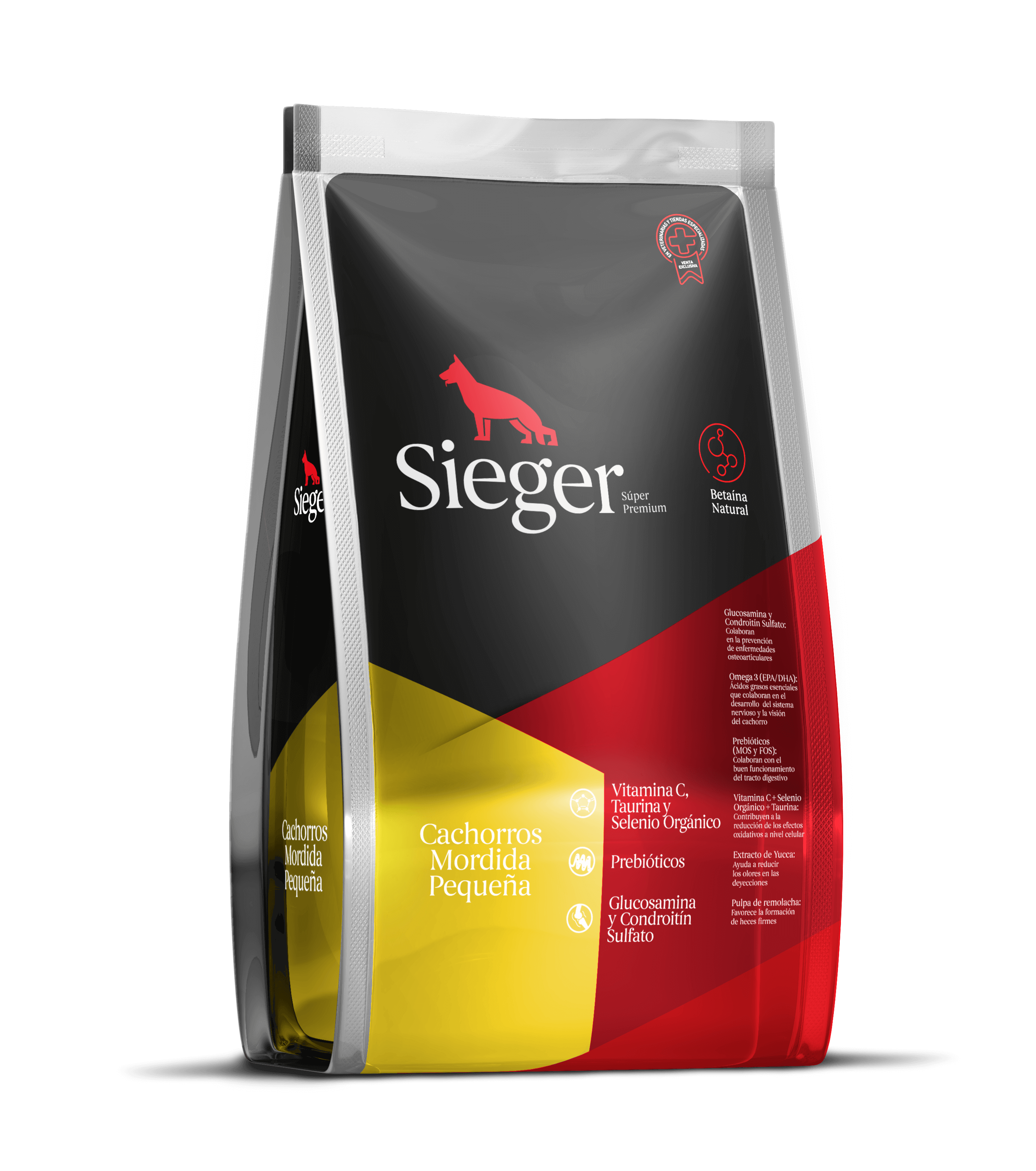 sieger-puppys-mp