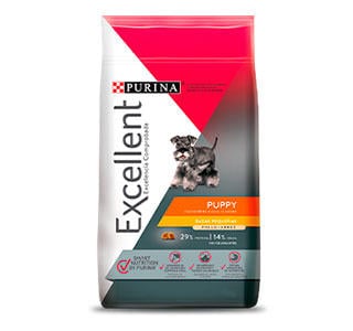 Excelent-cachorros-razas-pequeñas