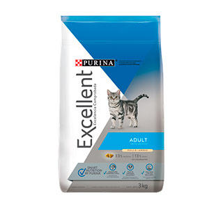 Excelent-gatos-adultos