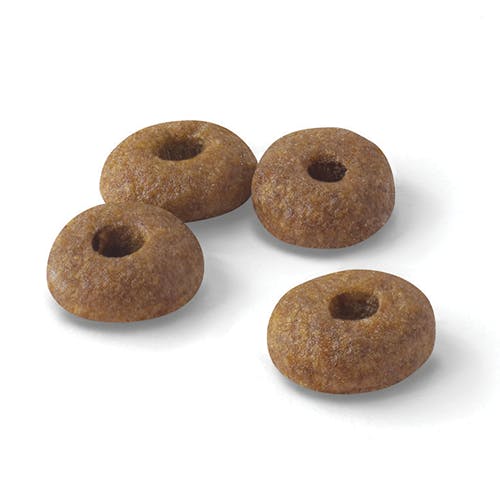 ar-l-croqueta-fit-feline-health-nutrition-seco