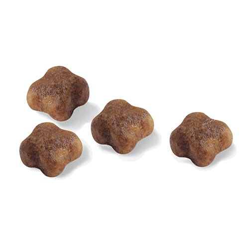 ar-l-croqueta-mother-babycat-feline-health-nutrition-seco