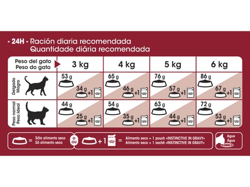 ar-l-tabla-racionamiento-fit-feline-health-nutrition-seco