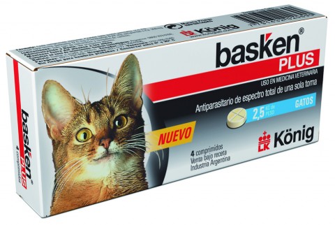 basken-plus-gatos1-480x322