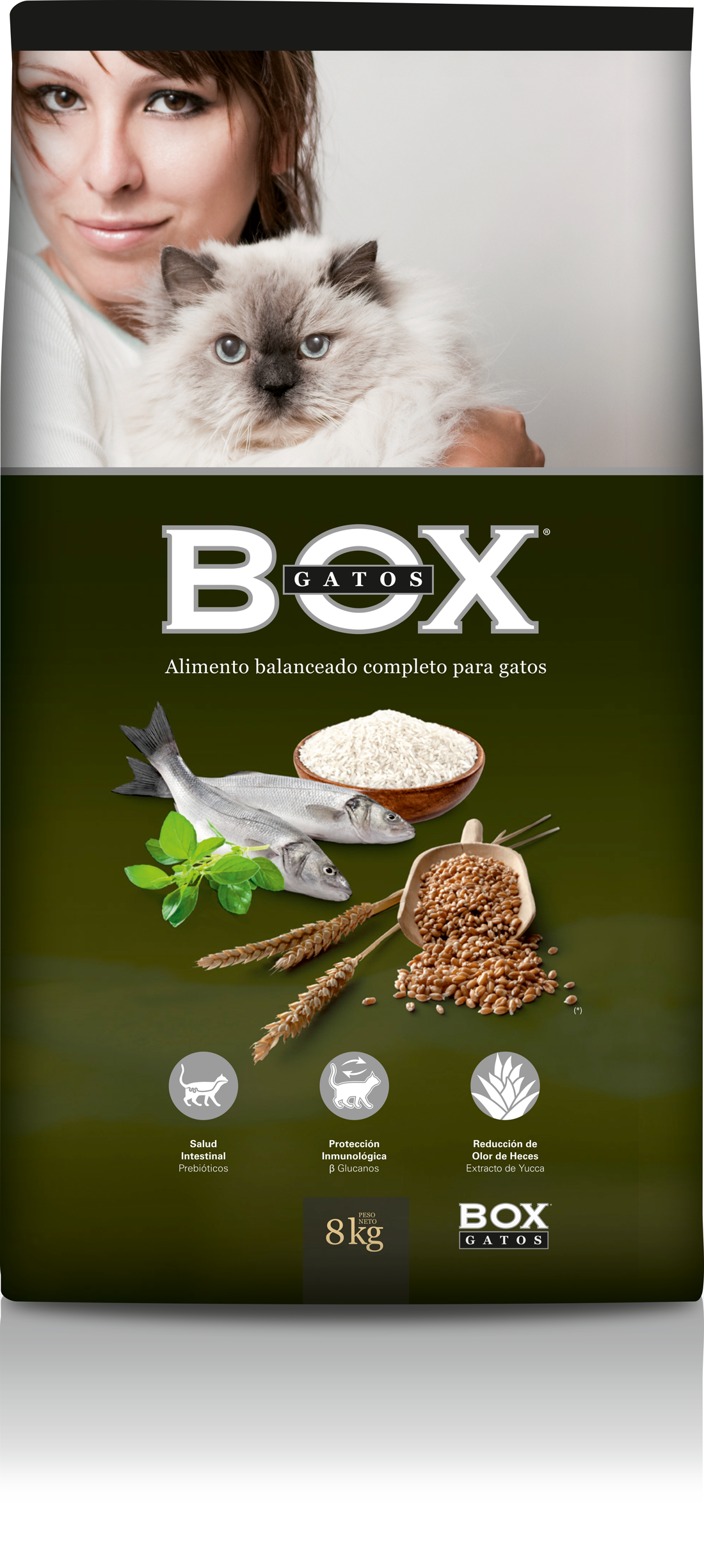 boxGatos