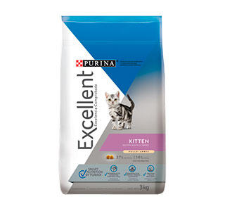 excelent-kitten