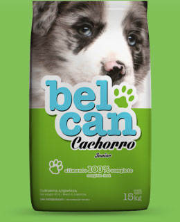 pack-belcan-cachorro