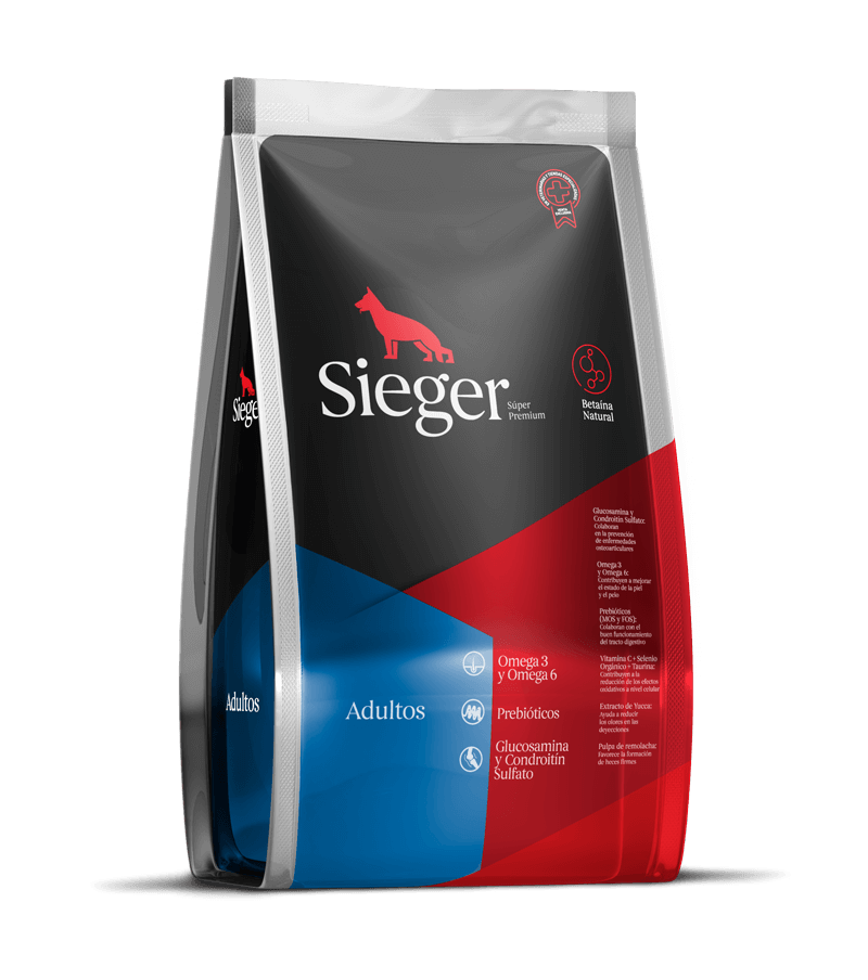 sieger-adult